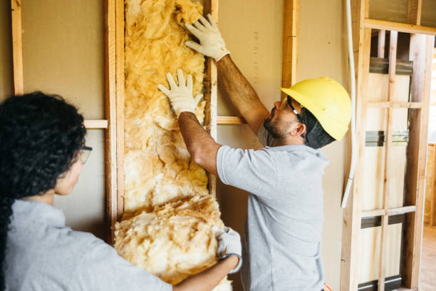 Insulation Repair Services in Deforest, WI