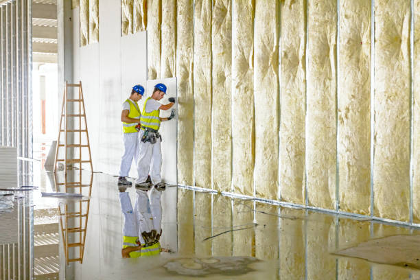 Best Insulation Replacement Services  in Deforest, WI